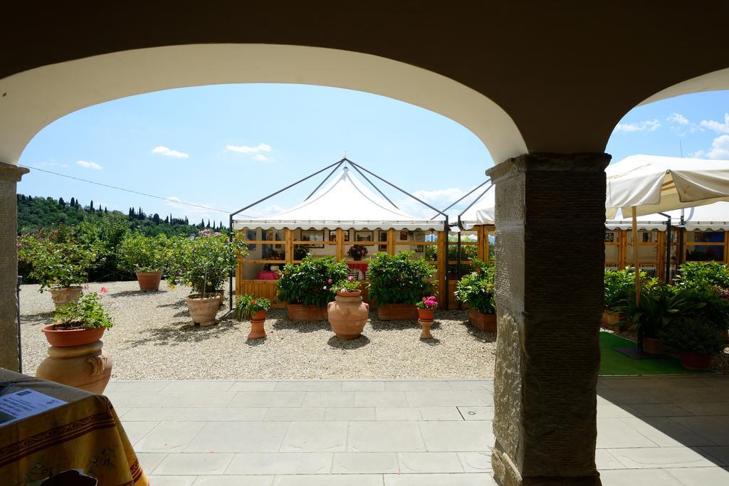 Agriturismo La Casuccia Castelfranco di Sopra 外观 照片
