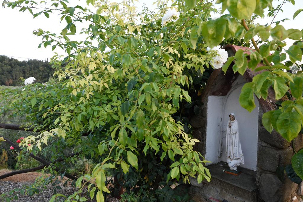 Agriturismo La Casuccia Castelfranco di Sopra 外观 照片