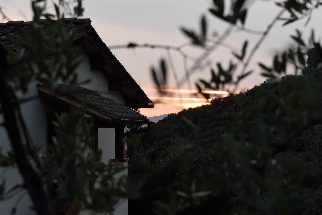 Agriturismo La Casuccia Castelfranco di Sopra 外观 照片