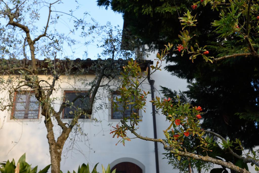 Agriturismo La Casuccia Castelfranco di Sopra 外观 照片