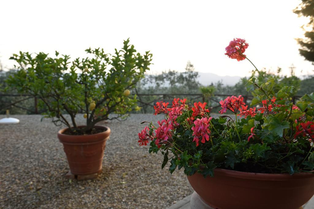 Agriturismo La Casuccia Castelfranco di Sopra 外观 照片