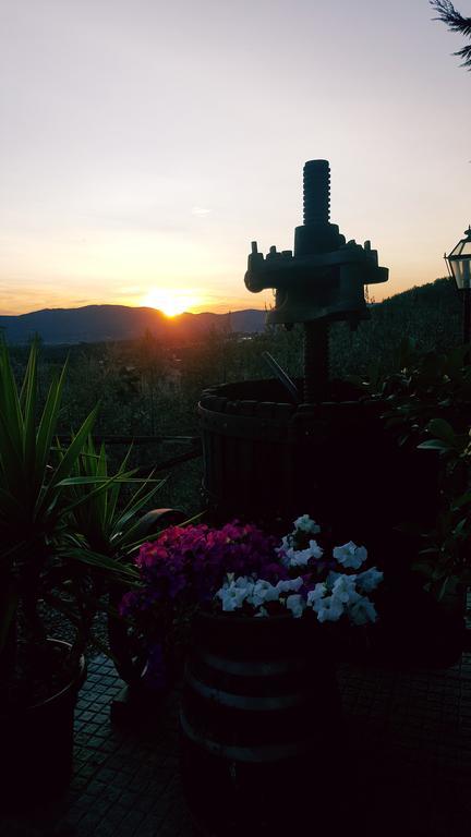 Agriturismo La Casuccia Castelfranco di Sopra 外观 照片